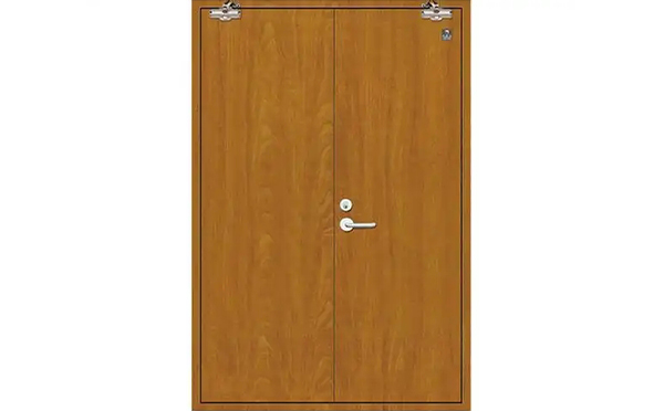 天山木质防火门